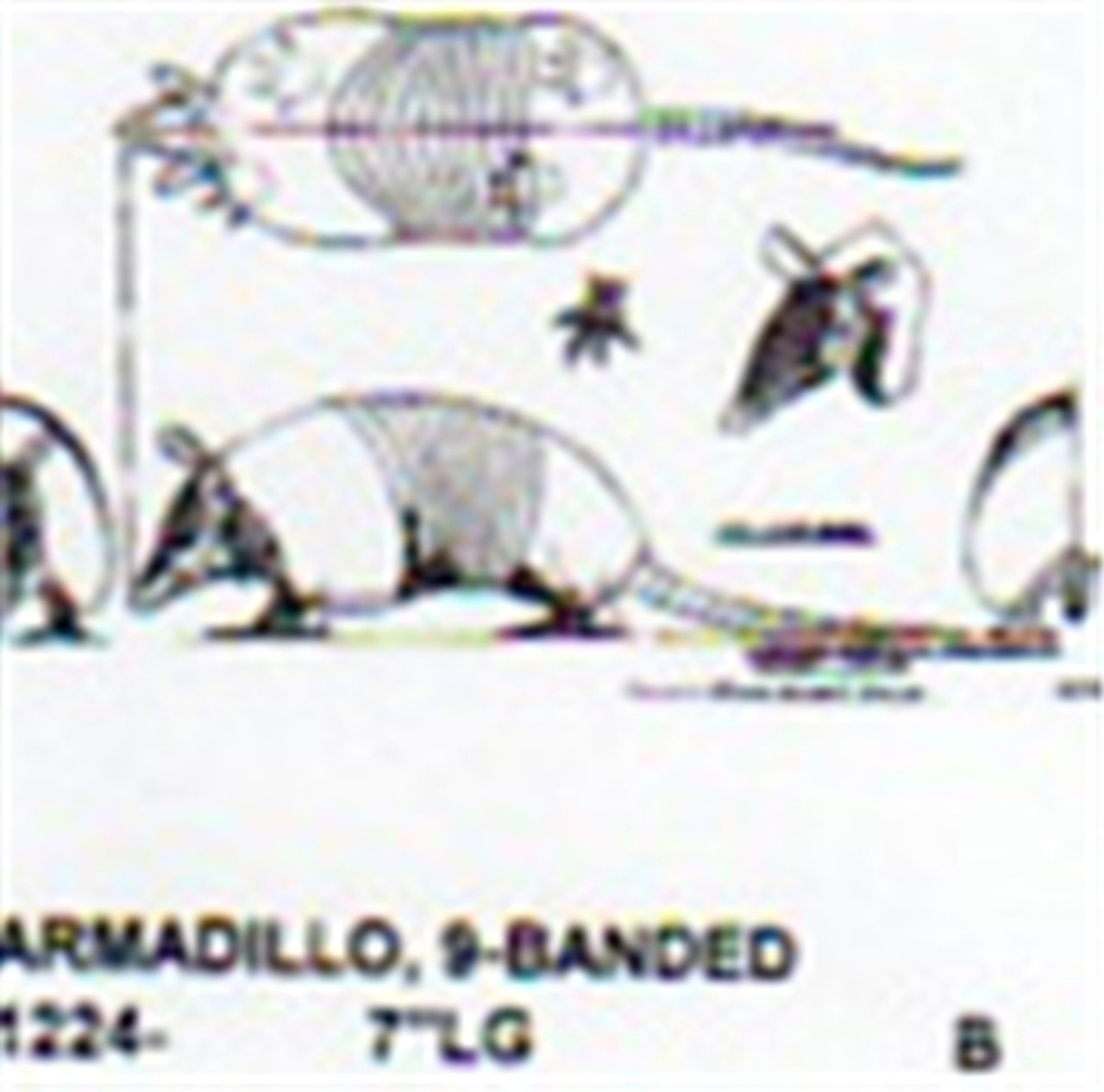 Nine-Banded Armadillo Walking 7" Long