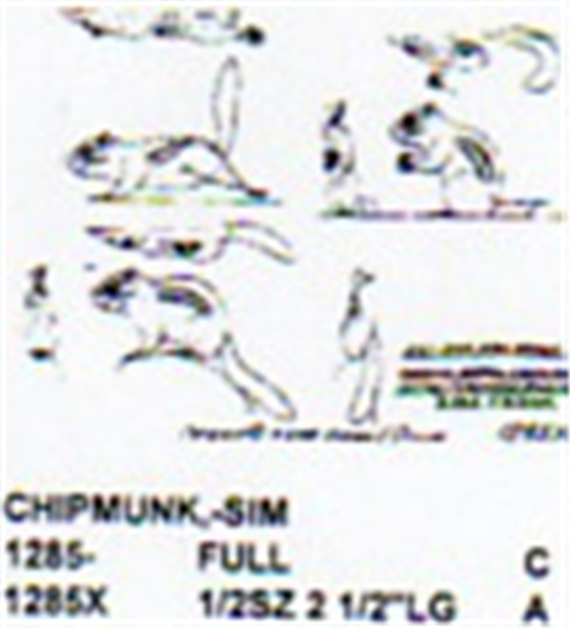 Eastern Chipmunk Setting Down-Running 5" Long