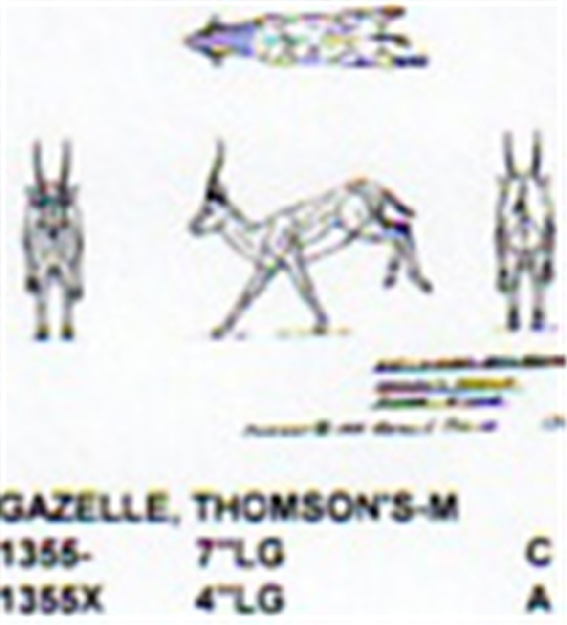 Thomson's Gazelle Running 4