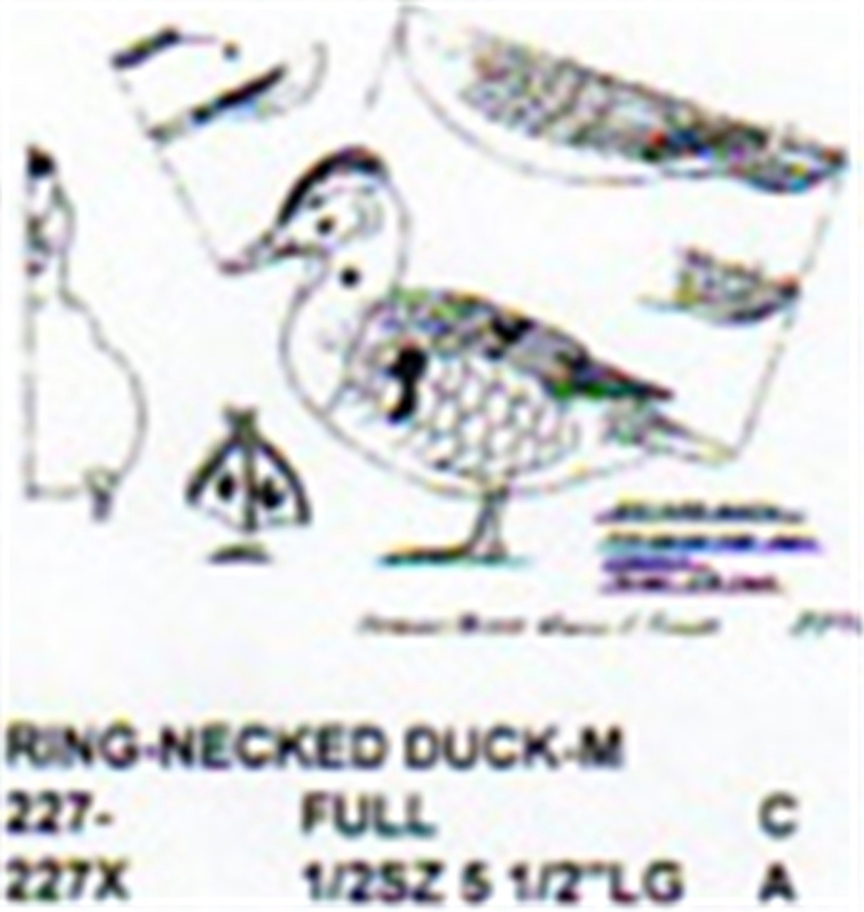 Ring Necked Duck Standing Carving Pattern showing the two different sizes for the Male Ring Necked Duck on the Stiller pattern.
