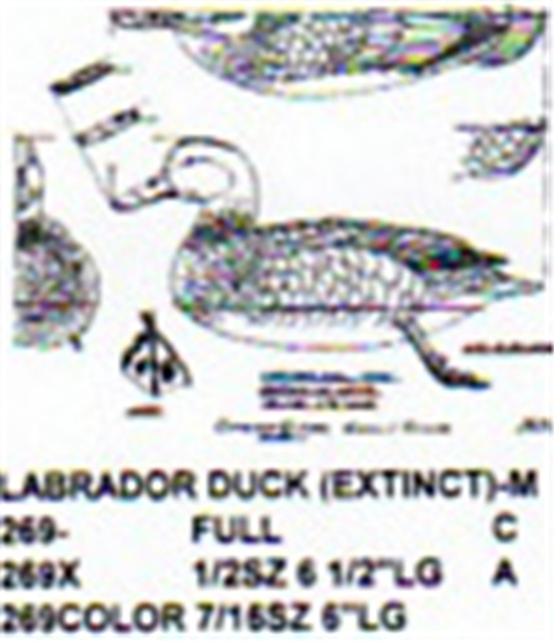 Labrador Duck Resting On Water Carving Pattern showing the two Stiller pattern sizes for the male Labrador Duck.