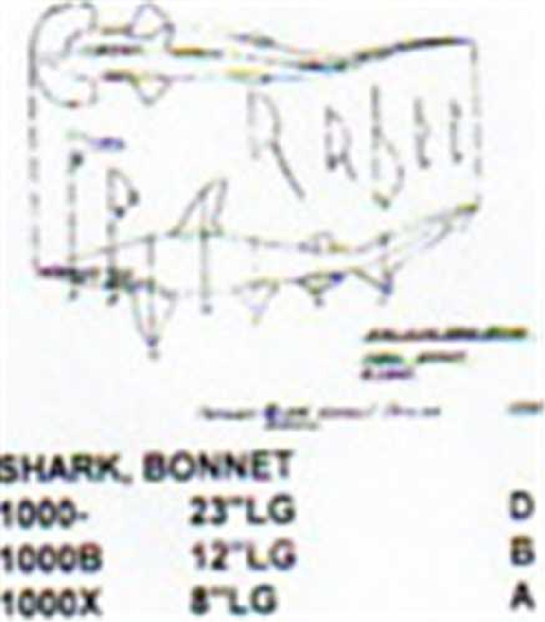 Bonnet Shark Mouth Closed 23" Long Saltwater Fish