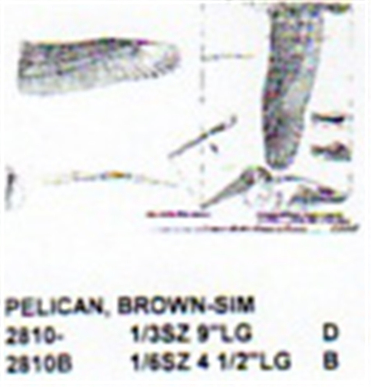 Brown Pelican Gliding 1/3 Size