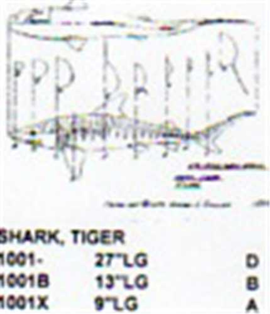 Tiger Shark Mouth Closed 13" Long Saltwater Fish