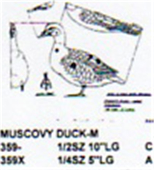 Muscovy Duck Standing Carving Pattern showing the male Muscovy duck in a standing position.