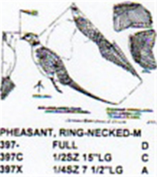 Ring Necked Pheasant Flying Carving Pattern showing the male pheasant.