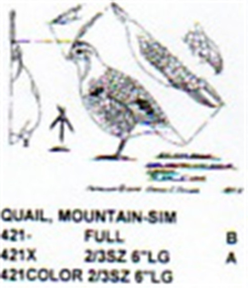 Mountain Quail Standing Carving Pattern showing the female Quail in a standing position.