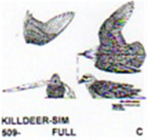 Killdeer Feigning Carving Pattern showing the bird in flight and resting.