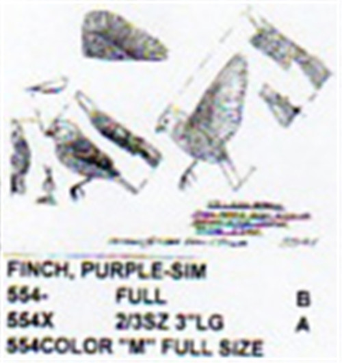Purple Finch Perching/Flying/Landing