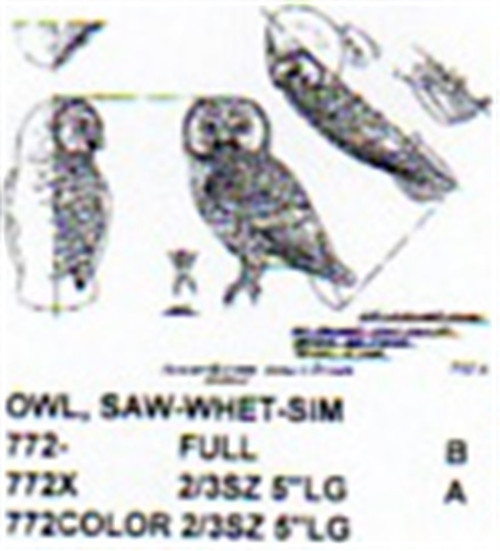 Saw Whet Owl Perching/Head Turned Carving Pattern
