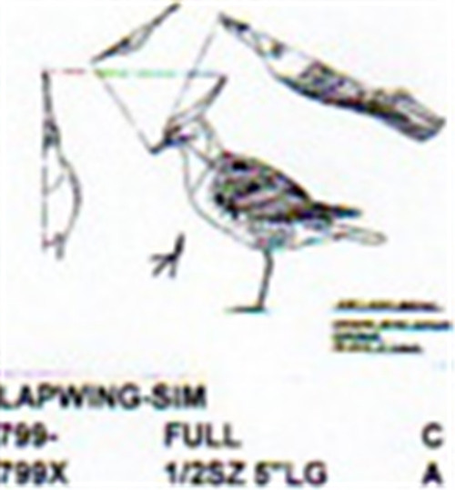 Lapwing Standing 1/2 Size
