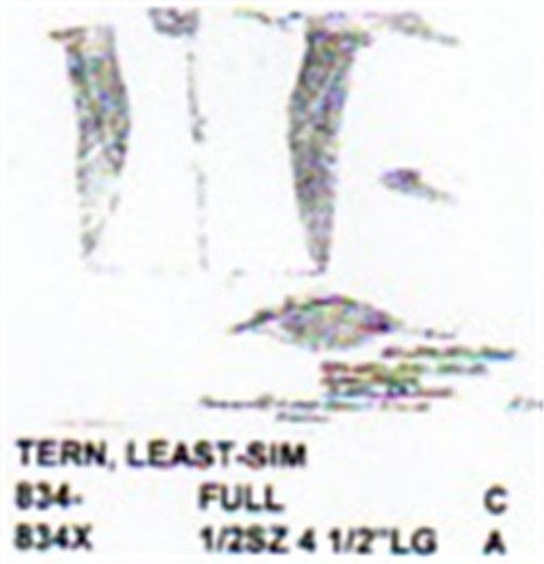 Least Tern Flying Carving Pattern showing the Least Tern with wings out soaring.