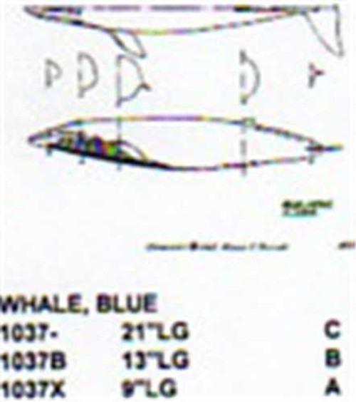 Blue Whale Mouth Closed 13" Long Saltwater Fish