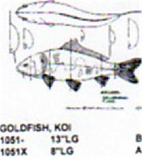 Koi Goldfish Mouth Closed 8" Long Freshwater Fish