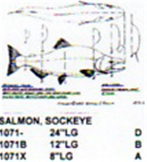 Sockeye Salmon Mouth Slightly Open 12" Long