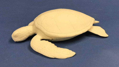 Green Sea Turtle Guge study cast.