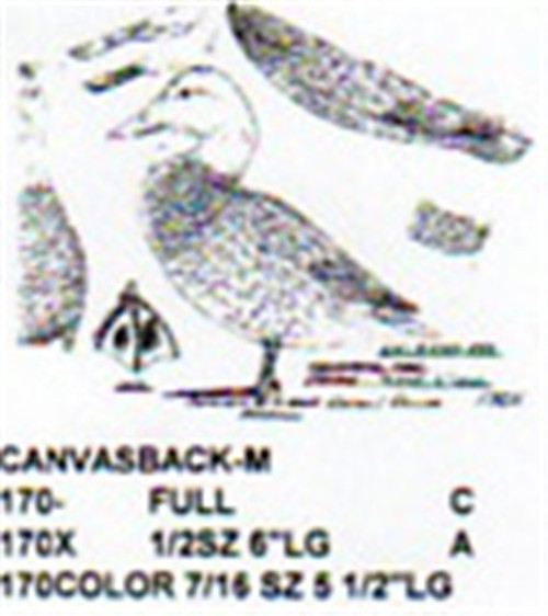 Canvasback Standing Carving Pattern showing the three different sizes of the Canvasback Male Stiller carving patterns