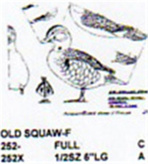 Old Squaw Male Standing showing the female in two different sizes.