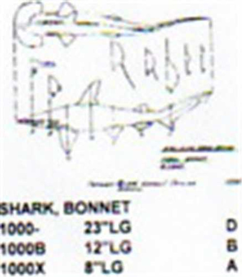 Bonnet Shark Mouth Closed 8" Long Saltwater Fish