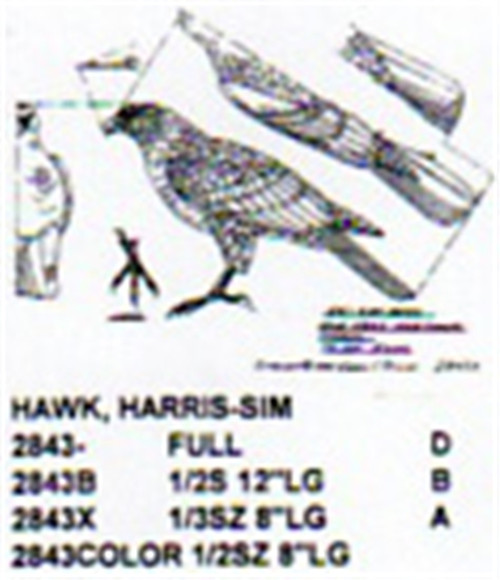 Harris Hawk Standing Carving Pattern showing the hawk in a standing position.