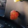 Skull Air Valve Knob - Cadmium Orange