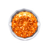 Double Fury 19 LED Dual Function Crystal Watermelon Light Kit With Bezel-Amber & Green LED/Clear Lens
