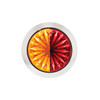 Double Fury 4 LED Dual Function 1-1/8" Watermelon Light-Amber & Red LED