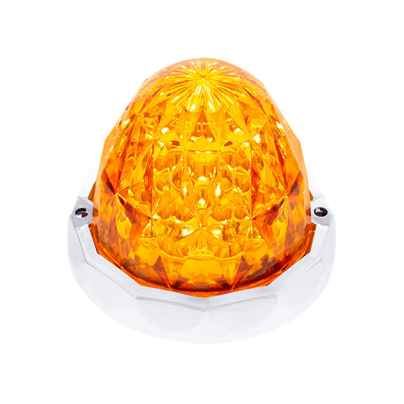 19 LED Dual Function Crystal Watermelon Light Kit With Bezel-Amber LED/Amber Lens