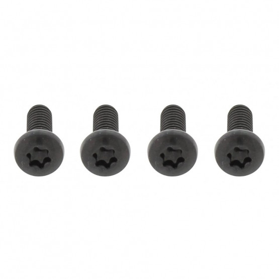 Freightliner Century Black Grille Screw Set