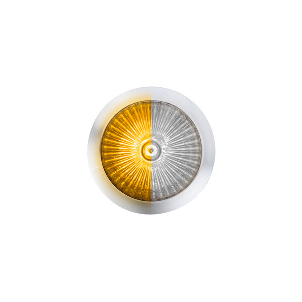 Double Fury 4 LED Dual Function 1-1/8" Spike Light-Amber & White LED