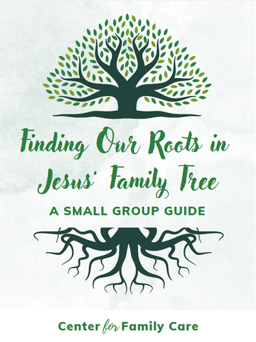 A cover depicting the outline of a tree and roots, linked to the theme of Jesus' family tree