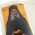 Saint Joseph the Hesychast, Letters & Poems (Holy Mountain Series)
