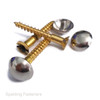 Chrome Plated Cap Brass Mirror Wood Screws No8 (4.2mm)