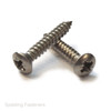 No.10 A2 Grade Stainless Steel Raised Countersunk Pozi Head Self Tapping Screws