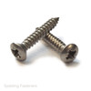 Assorted A2 Stainless Raised Countersunk Pozi Self Tapping Screws No. 6 To No. 1