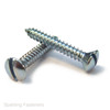 No.10 Zinc Plated Steel Raised Countersunk Slotted Head Self Tapping Screws