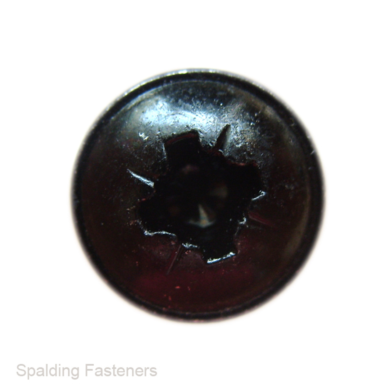 No.12 Black Pozi Flange Head Self Tapping Screws