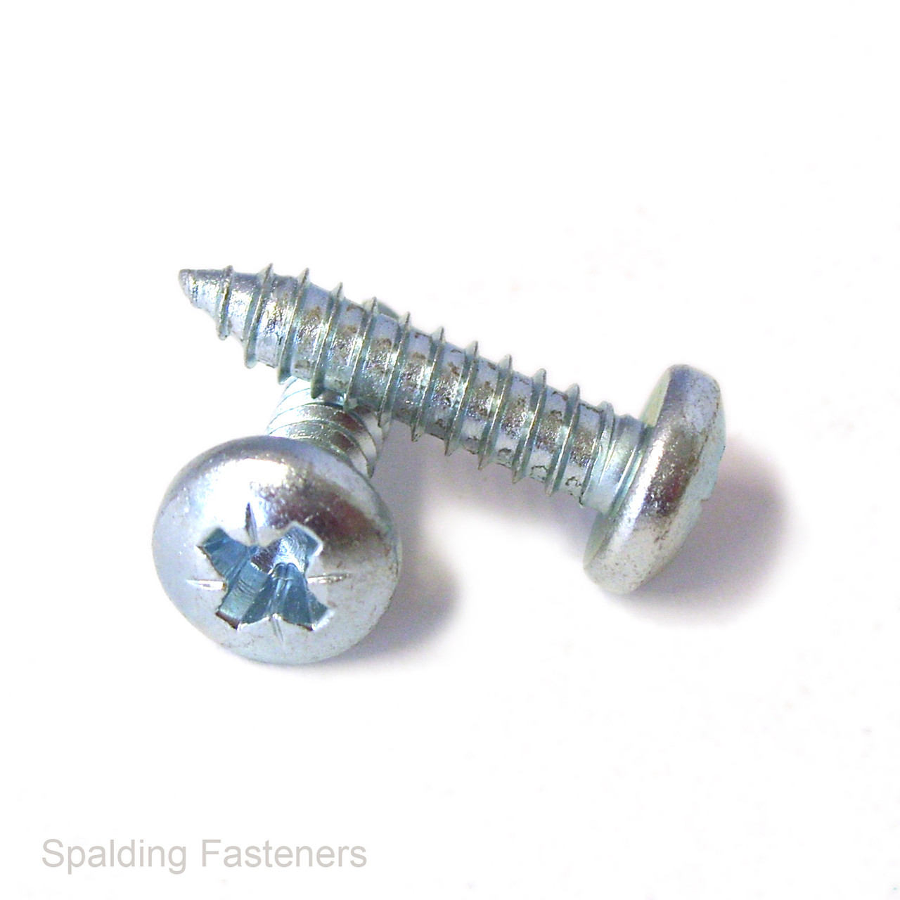 No.12 Zinc Plated Pan Pozi Head Self Tapping Screws Spalding Fasteners