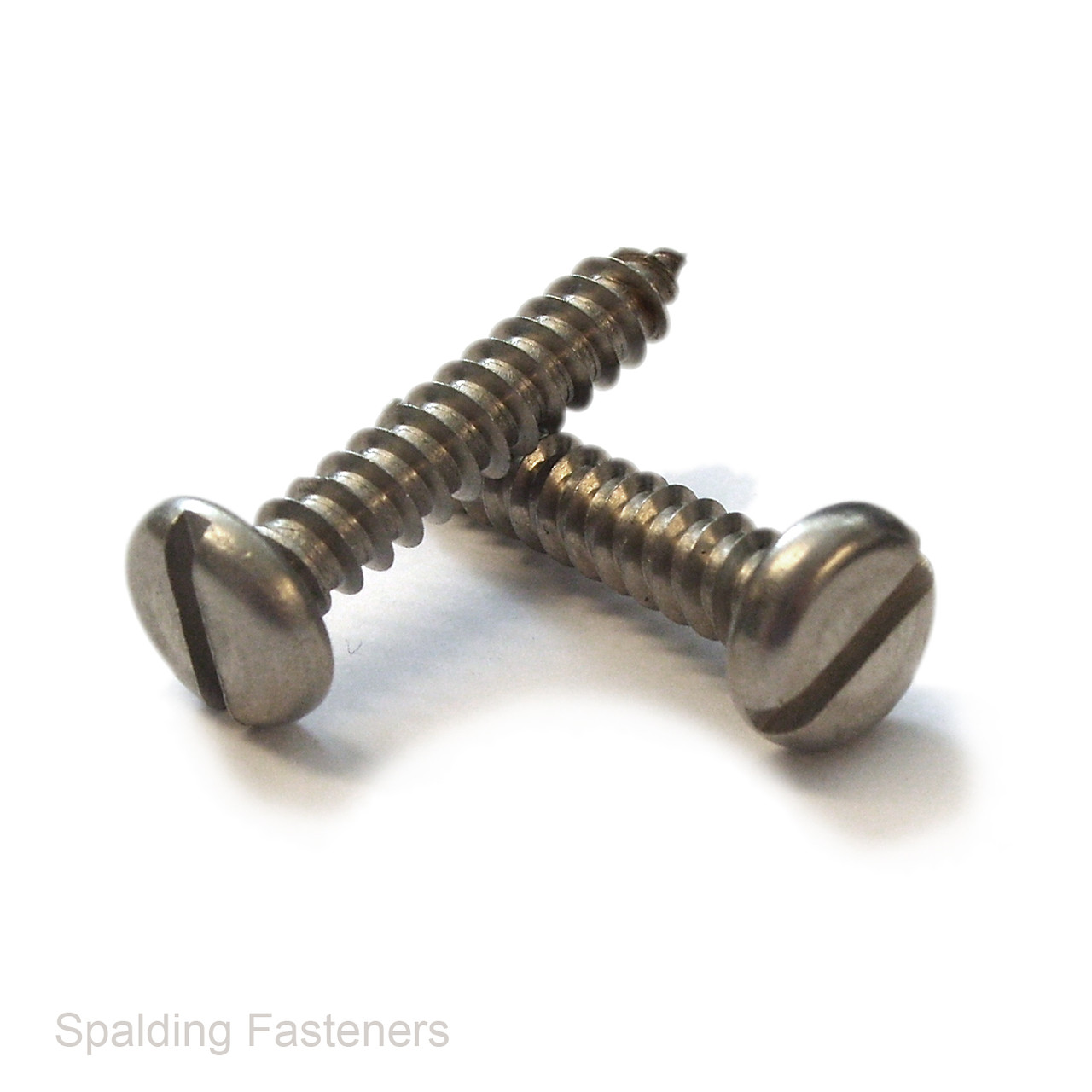 No.8 A2 Grade Stainless Pan Slotted Self Tapping Screws