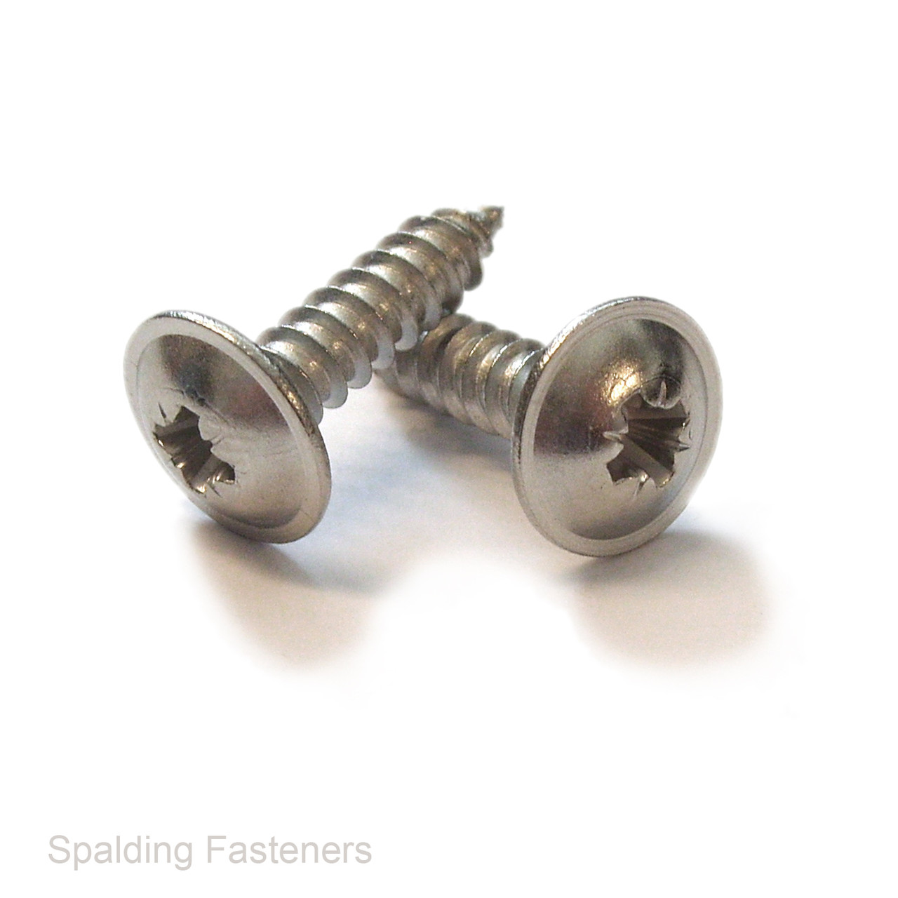 Assorted Stainless Pozi Flange Self Tapping Screws