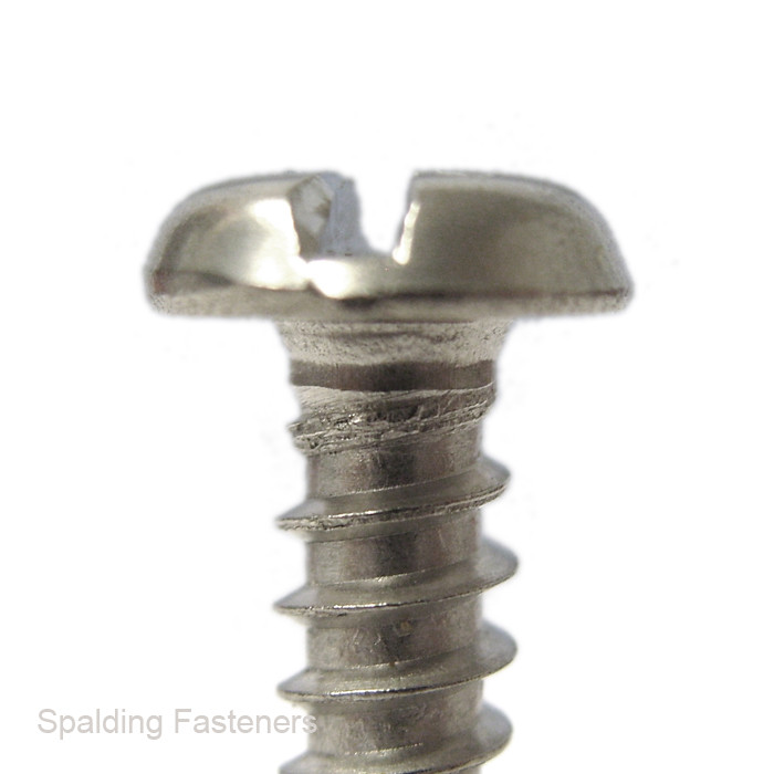 No.12 A2 Grade Stainless Pan Slotted Self Tapping Screws