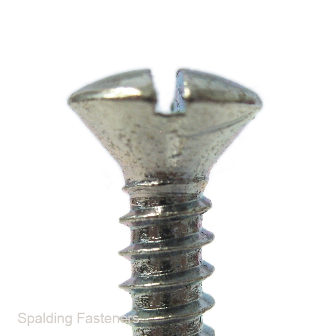 No.10 Zinc Plated Steel Raised Countersunk Slotted Head Self Tapping Screws