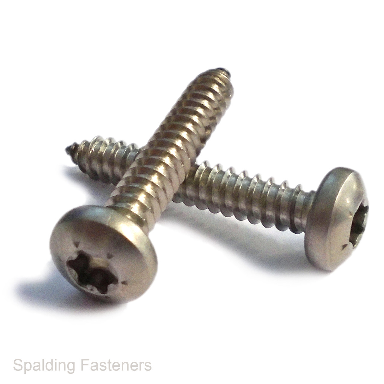 No.6 A2 Stainless Steel Pan Torx Self Tapping Screws