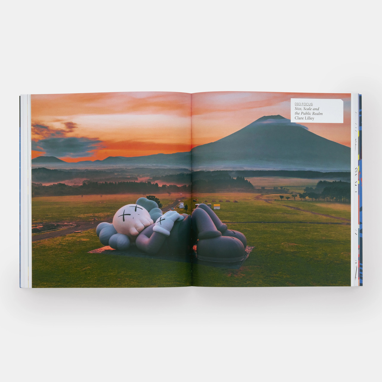 カウズ「KAWS 1993-2010」アートブック/洋書/入手困難 KAWS Paperback