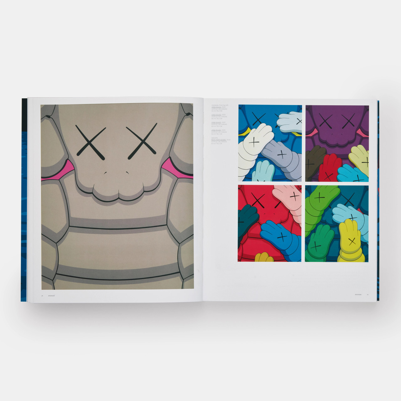 KAWS Paperback