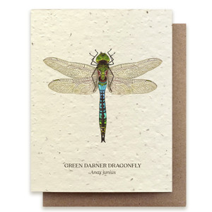 Greeting card with watercolor dragonfly. The card is printed on plantable post-consumer paper, which is embedded with wildflower seeds.
The seeds include Bird’s Eye, Clarkia, Black Eyed Susan, Sweet Alyssum, Catchfly and Snapdragon. Greeting card with watercolor dragonfly. The card is printed on plantable post-consumer paper, which is embedded with wildflower seeds.
The seeds include Bird’s Eye, Clarkia, Black Eyed Susan, Sweet Alyssum, Catchfly and Snapdragon.