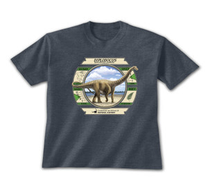 The heather navy Dippy dashboard tee is soft, comfortable and provides a relaxing fit