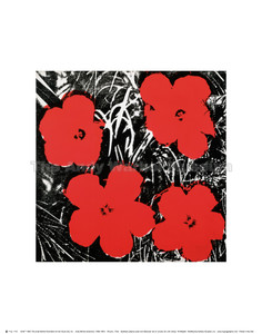 image of red flowers screen printed on black and white background. image of red flowers screen printed on black and white background.