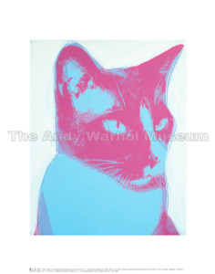 Andy Pawhol Cat Artist Washi Tape – Asheville Art Museum Store
