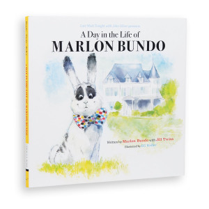 image of a white bunny on a grassy yard. image of a white bunny on a grassy yard.